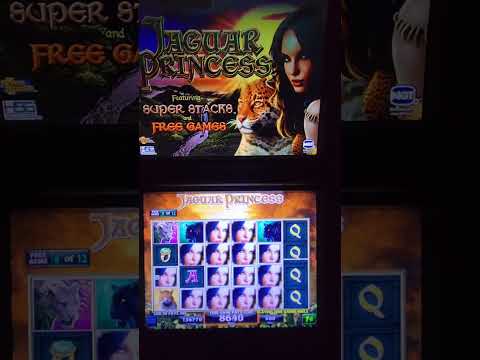 IGT Jaguar Princess Video Slot Machine