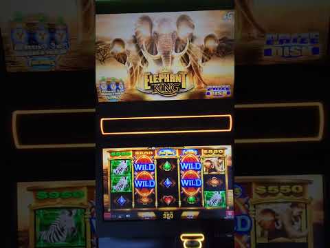 IGT Elephant King Video Slot Machine