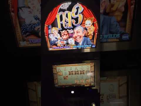 IGT Pets Video Slot Machine
