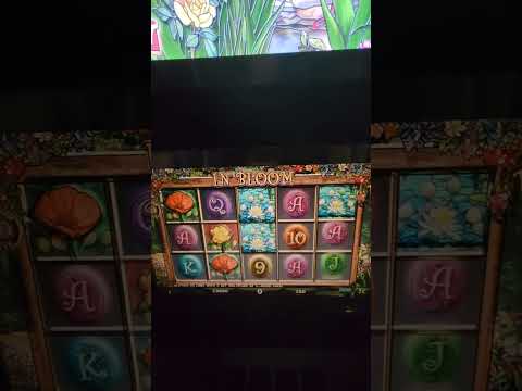 IGT In Bloom Video Slot Machine