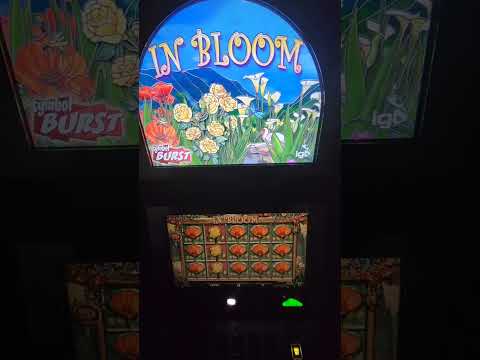 IGT In Bloom Video Slot Machine