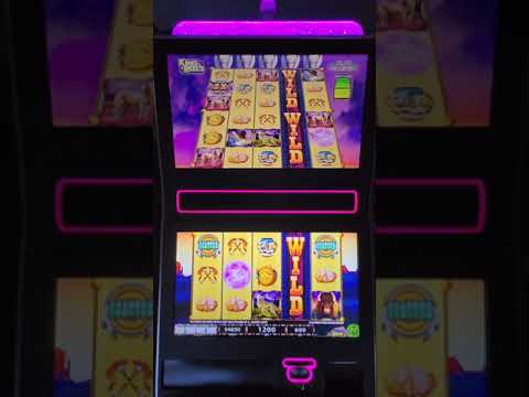 IGT Buffalo Storm Video Slot Machine