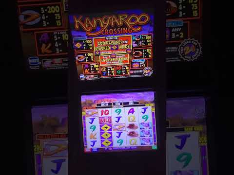 IGT Kangaroo Crossing Video Slot Machine