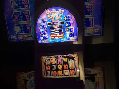 IGT Magically Wild Video Slot Machine