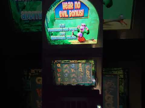 IGT Jungle V. I. P. Video Slot Machine