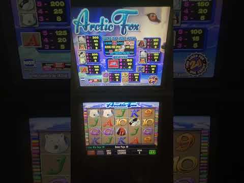 IGT Artic Fox Video Slot Machine