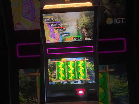 IGT Otter King Video Slot Machine