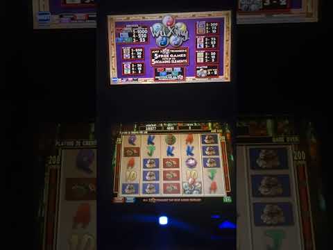 Predator Slot Machine IGT AVP MLD (3D) Video Slots Games – Top Line Slots