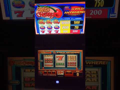 IGT Wild Cherry Video Slot Machine