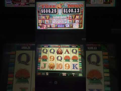 IGT Golden Tiger External Dragon Video Slot Machine