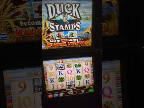 IGT Duck Stamps Video Slot Machine