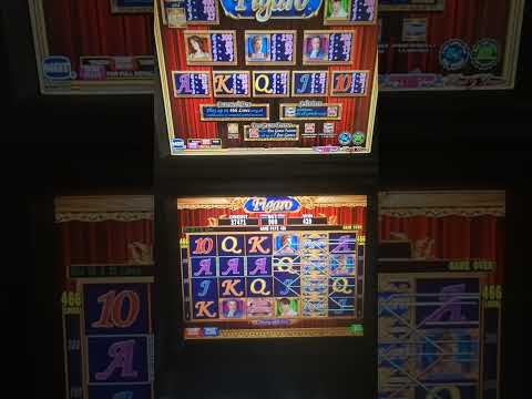 IGT Figaro Video Slot Machine