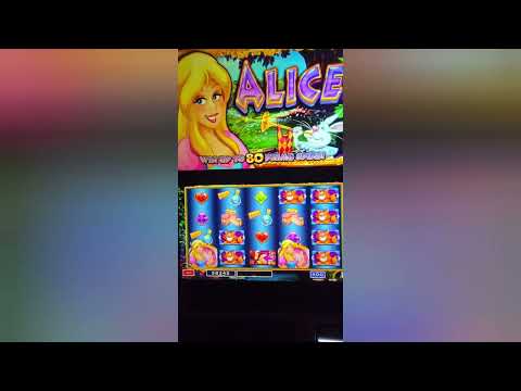 WMS Multi-Game - 10 Video Slots in 1