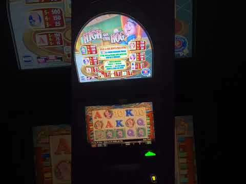 IGT High on the Hog Video Slot Machine